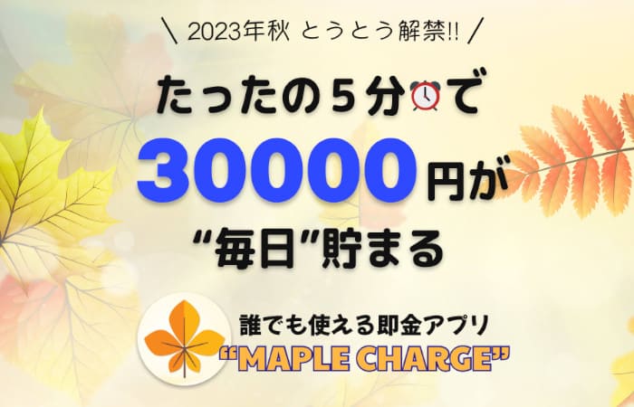 MAPLE CHARGEは詐欺？たった5分で30000円が手に入るのか徹底リサーチ！